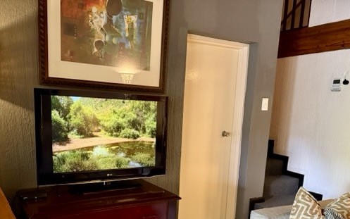 5. de televisie
